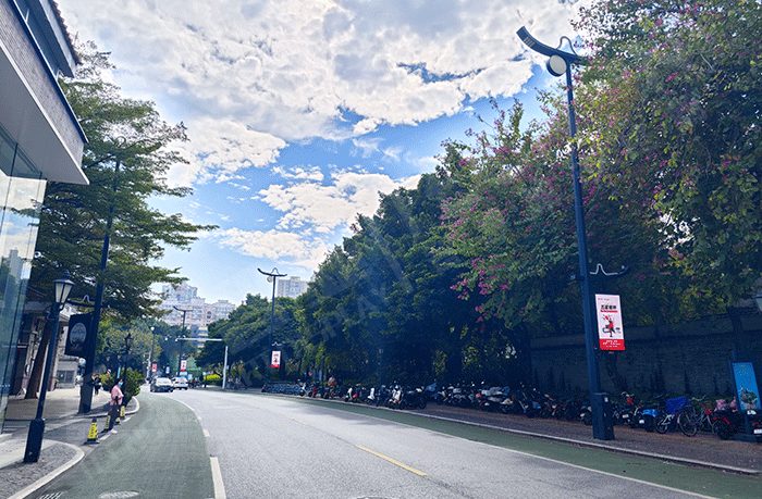 城市主干道燈桿屏應用